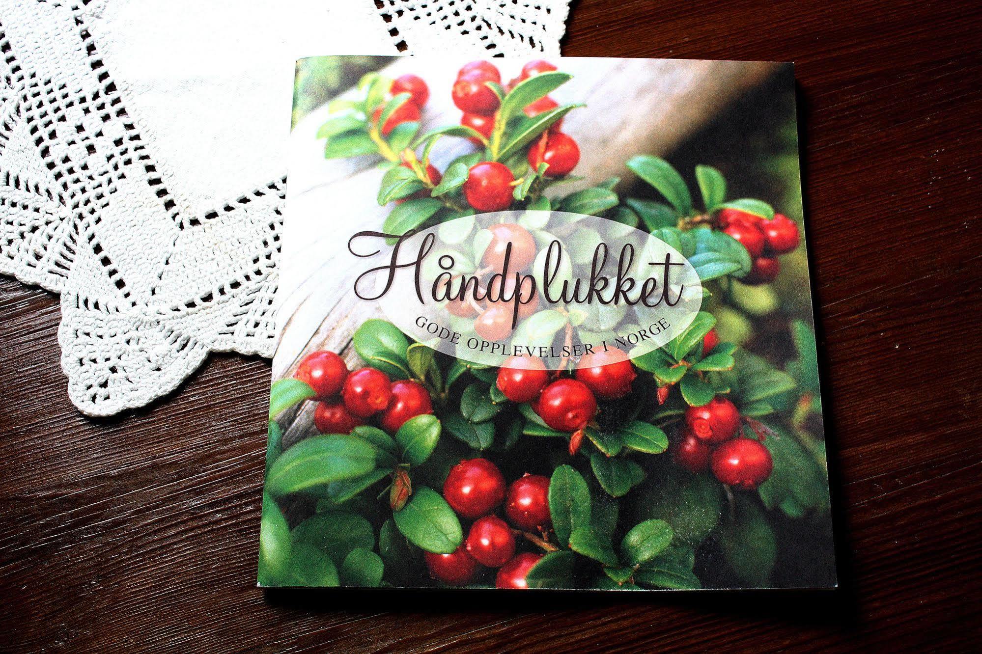 Rundhaug Gjestegard ภายนอก รูปภาพ